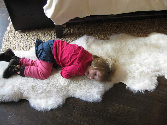 Expert Prescott Valley Rug Cleaner