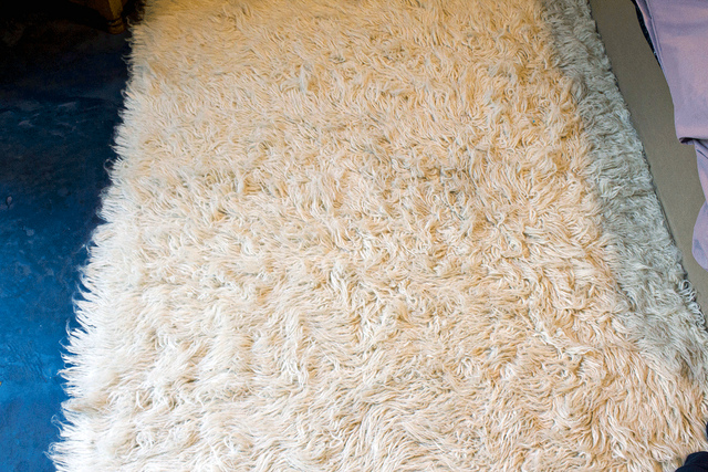 Get Help With Expert Prescott Rug Cleaner