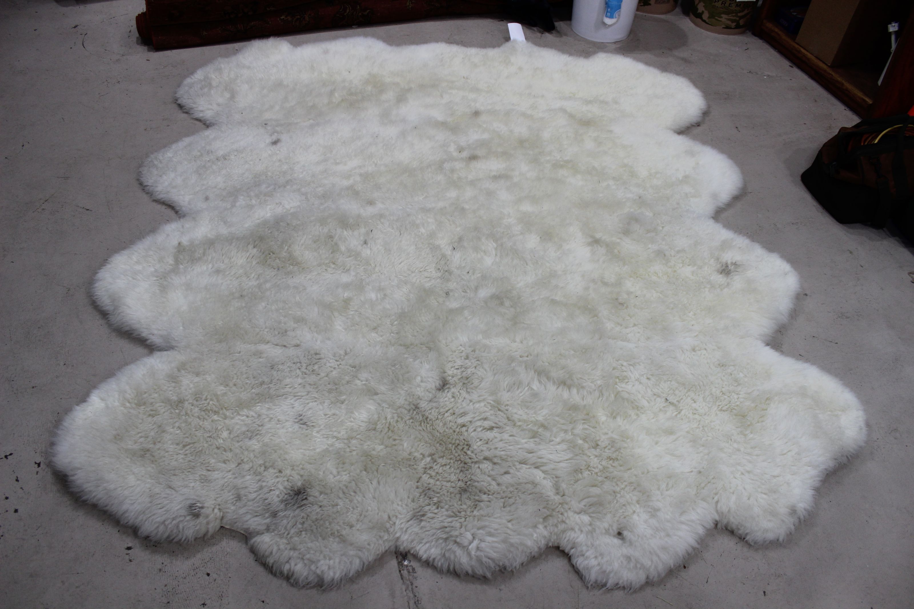 Make Shag Rugs Look New? Prescott Valley Rug Cleaner