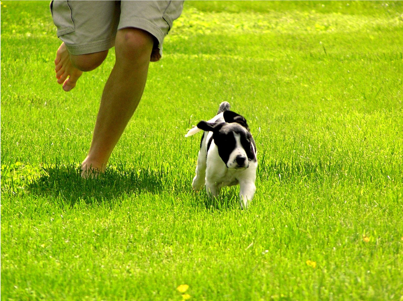 Prescott Valley Area Rug Cleaner. Rug Soil Prevention